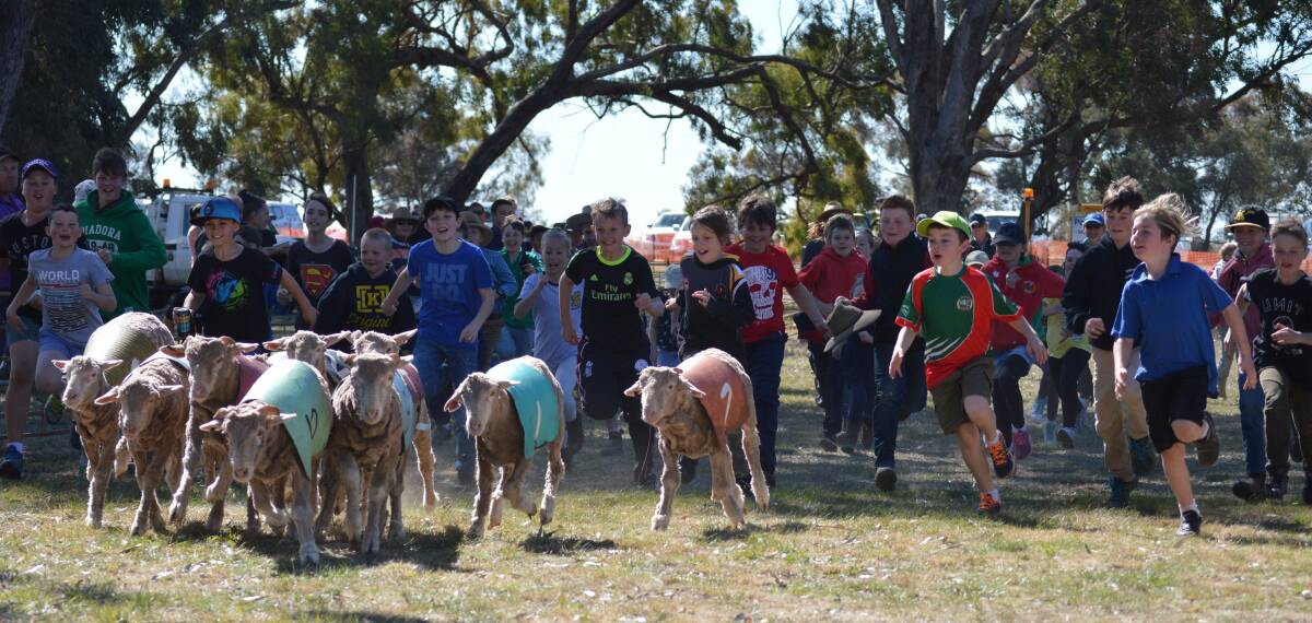 A huge crowd enjoyed perfect conditions last Saturday, Setember 9, at the annual Caragabal Sheep Races.