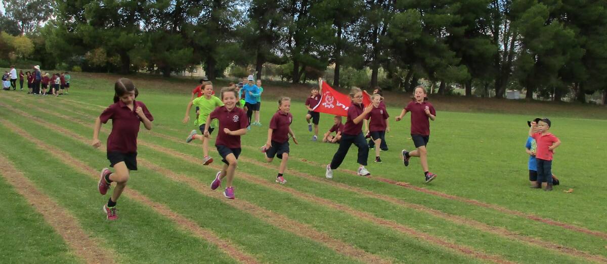 The school athletics carnival was a great day enjoyed by all.
