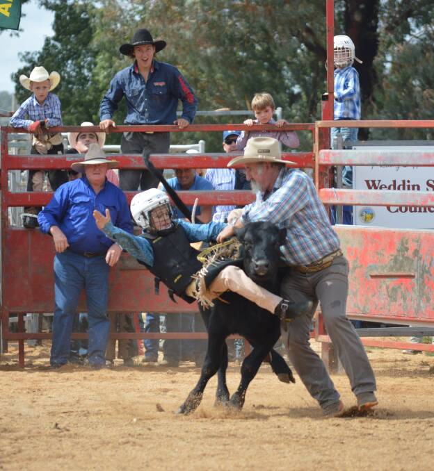 There was a large contingent of youngsters competing in the Poddy Calf events.
