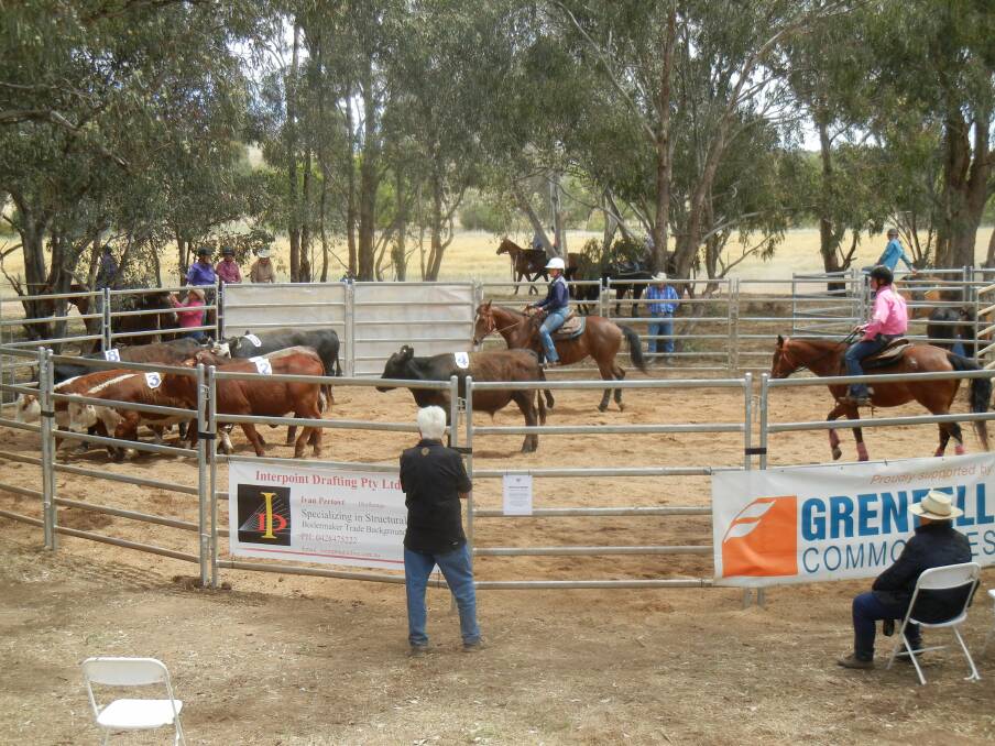 Spectators enjoyed the entertainment of the Ranch Sorting event.