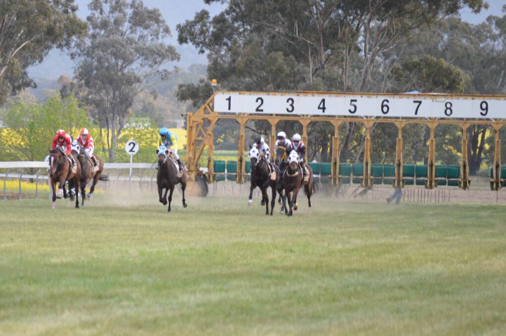 They're off and racing in the Jockey Club race day feature race 'The Grenfell Cup'.