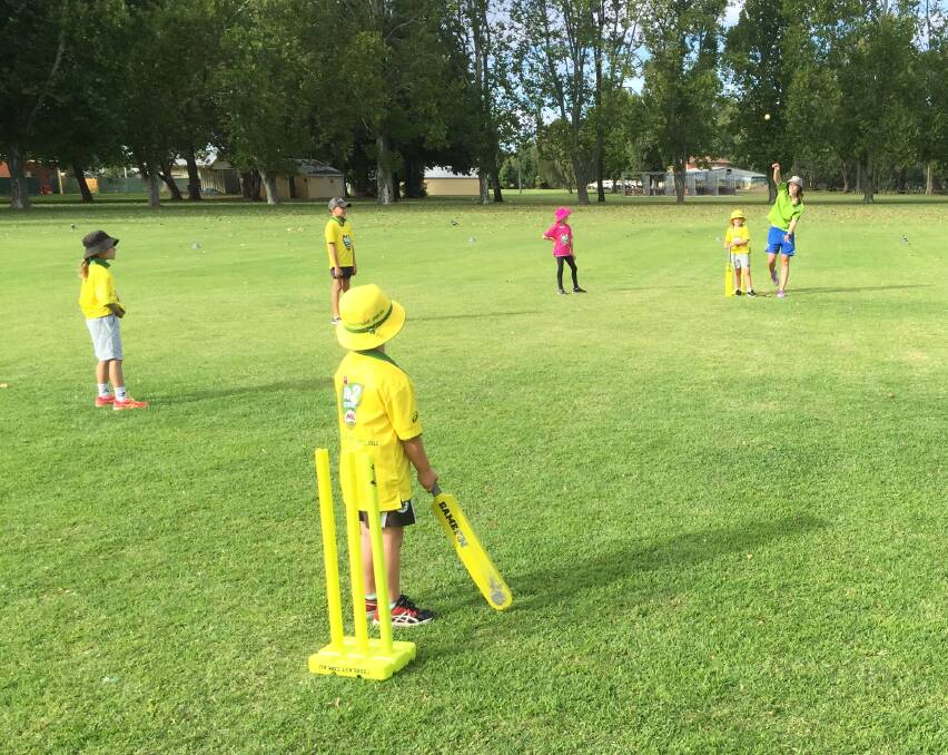 Have a child wishing to play cricket this season?