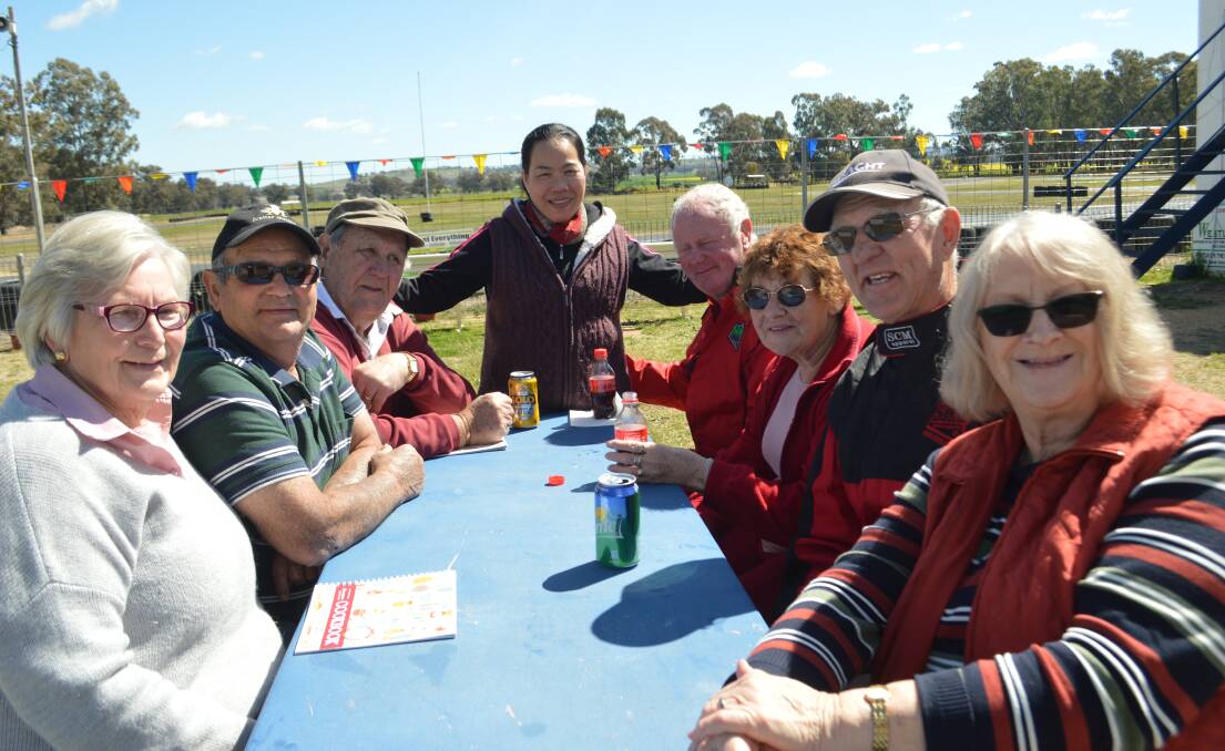 Dianne and Roy Pollard (Young), Tony Curtis (Young), Quyen Aylen (Grenfell), Trevor and Sure Apps (Young), Clive Lacey and Helen Curtis (Young), at the Kart Club's Vintage Kart weekend recently. 