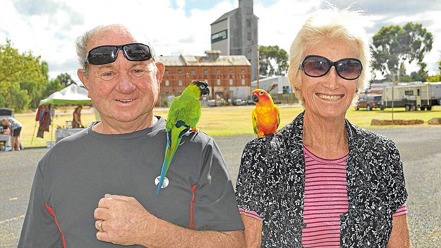 John and Cathie Blake with Conure Breed birds 'Benny' and 'Bubba' at the Lions Market Day last Sunday March 22.