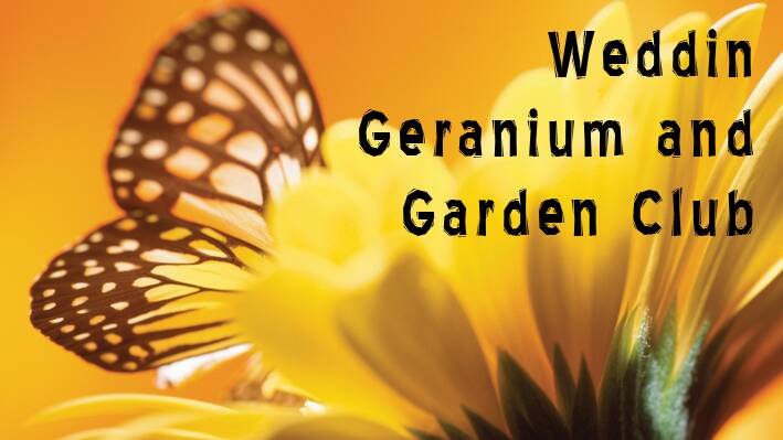 Weddin Geranium and Garden Club News