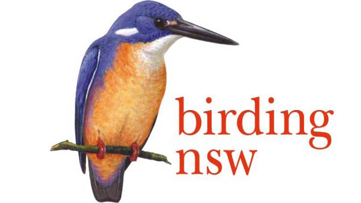 Birding NSW Logo 