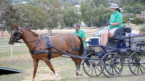 A CARRIAGE MADE IN HEAVEN: One of the participants in the recent carriage driving event held at the Grenfell Showground. 