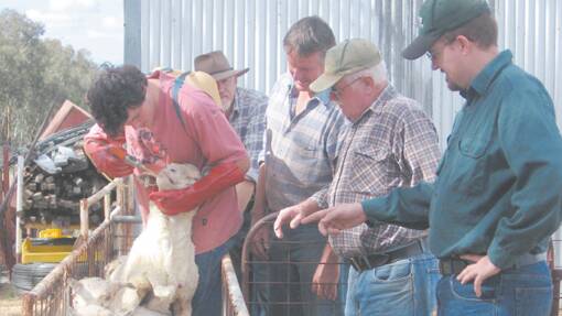TAFE PRACTICAL ON THE FARM: Seen here learning to drench sheep were (l/r) Jeremy Hall, Alan McCue, instructor Michael Butler, Brian O'Connor and Jason McCue. 