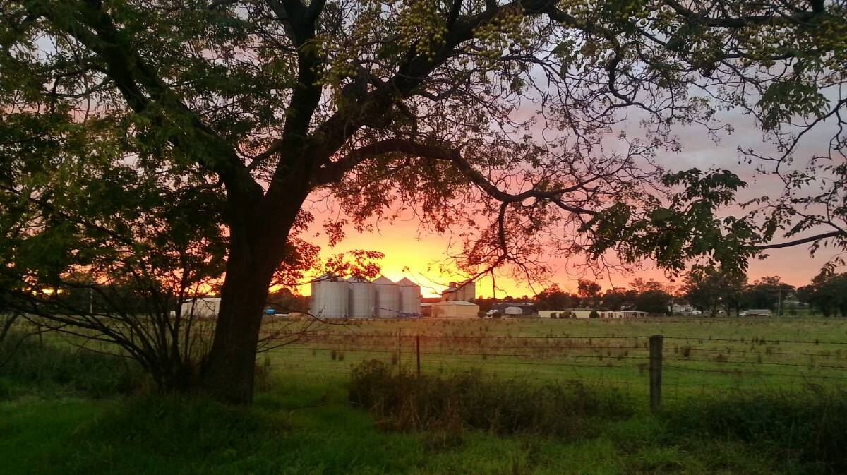 A sunset taken in Grenfell recently. Photo by Belinda Leibick. 