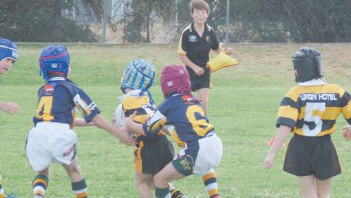 FUTURE KANGAROOS: The Grenfell Under 7's charging towards the try line at Lawson Park against Cabonne United. 
