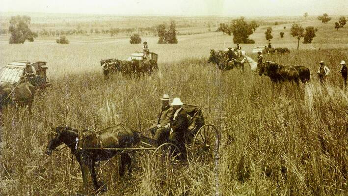 The Wood family harvesting wheat at their historical property “Brundah” in 1906. 