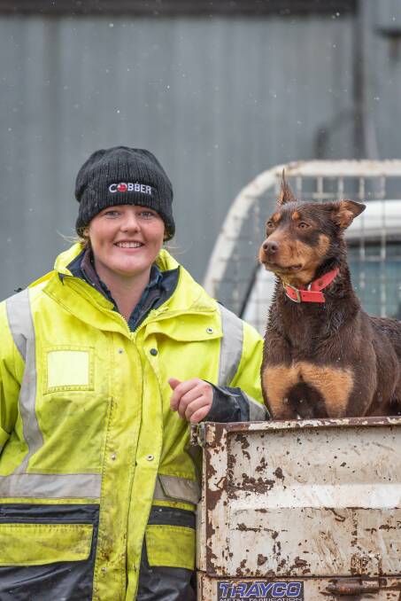 BREE-ZING TO VICTORY: Bree How has entered her red kelpie Kit in the 2021 working dog Cobber Challenge. Photo: Craig George/The Examiner.