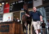The daughter of champions racehorse Winx sold for a record $10 million at the Inglis Easter Yearling Sale on Monday. Picture Getty Images