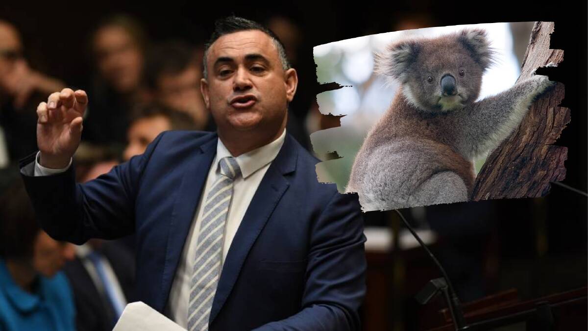 Koalas cause NSW Nationals to pull support and sit on crossbench