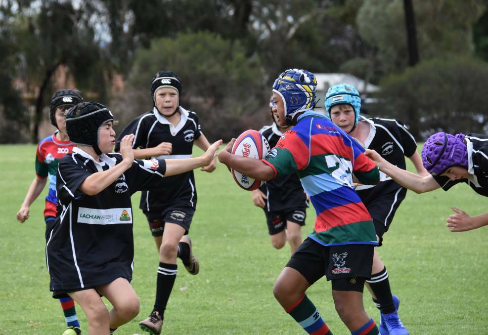 The Junior Panthers are back for the 2021 Southern Inland Junior Rugby Union season. 
