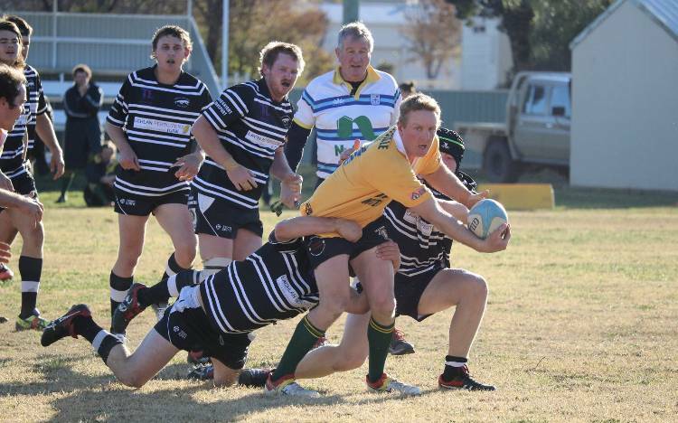 The Grenfell Panthers will be taking on the Boorowa Goldies in round one of the Oilsplus South West comp.