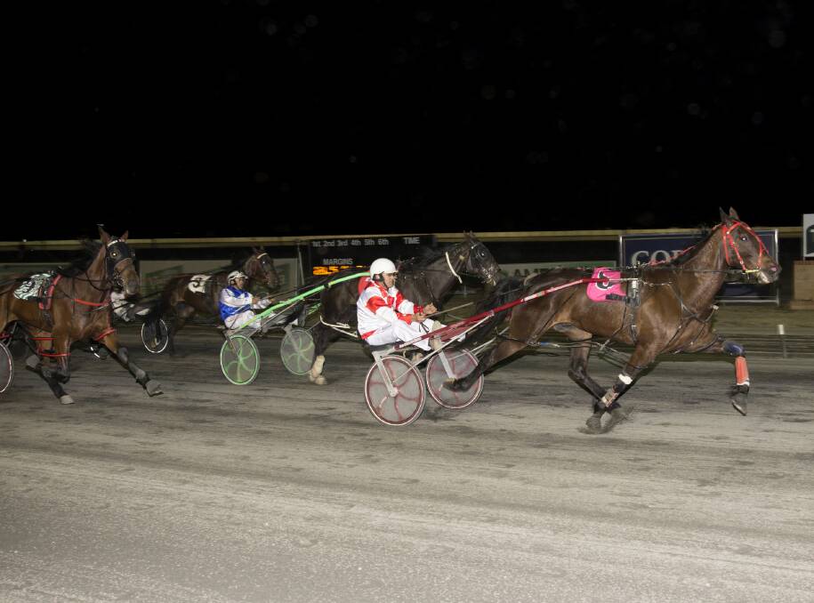 Holy Camp Rob was driven home for a well deserved win last Tuesday in Young. Photo: Martin Langfield.