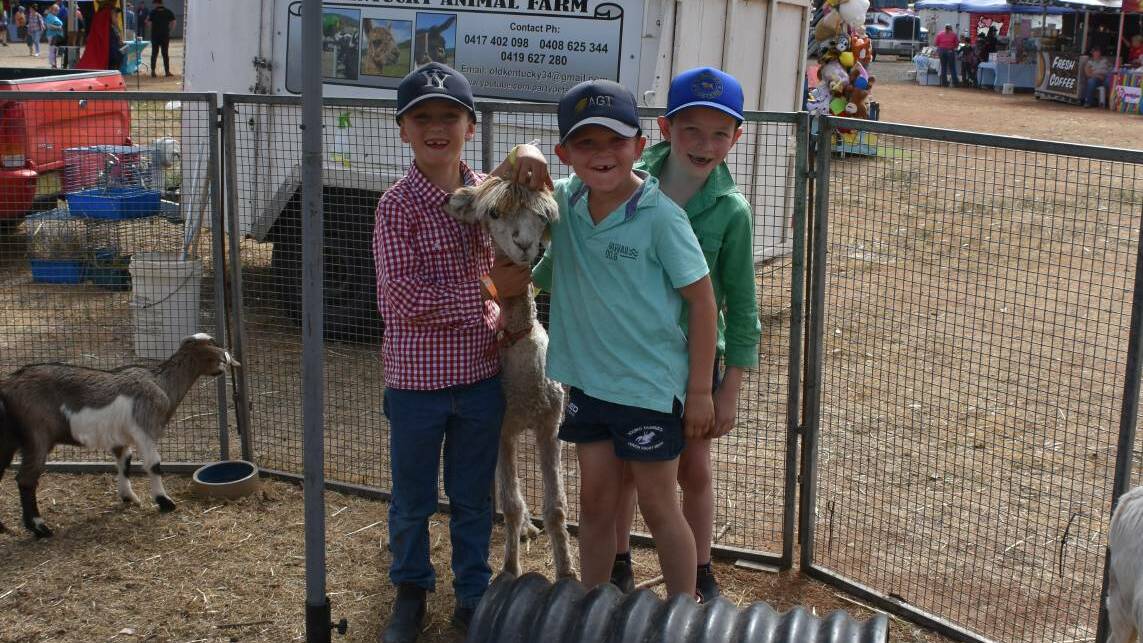 There were huge crowds at last year's Bribbaree Show which celebrated its 93rd year.