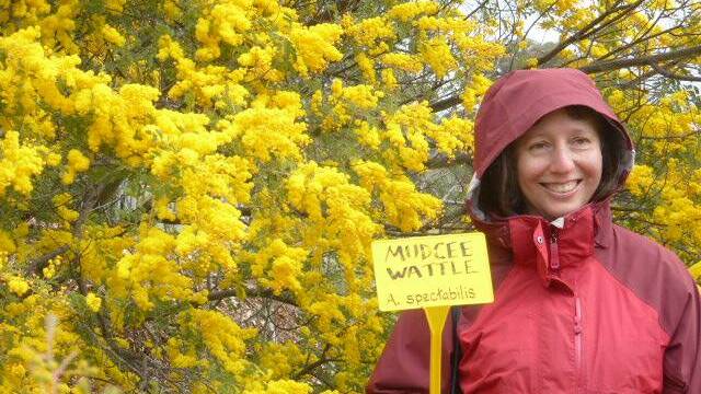 The Wonders of Wattle to be celebrated with Grenfell residents