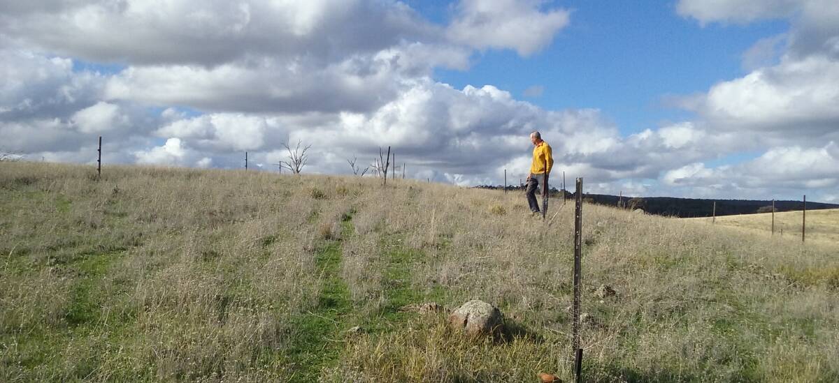 Revegetation sites will get a new lease on life thanks to funding from Landcare NSW.