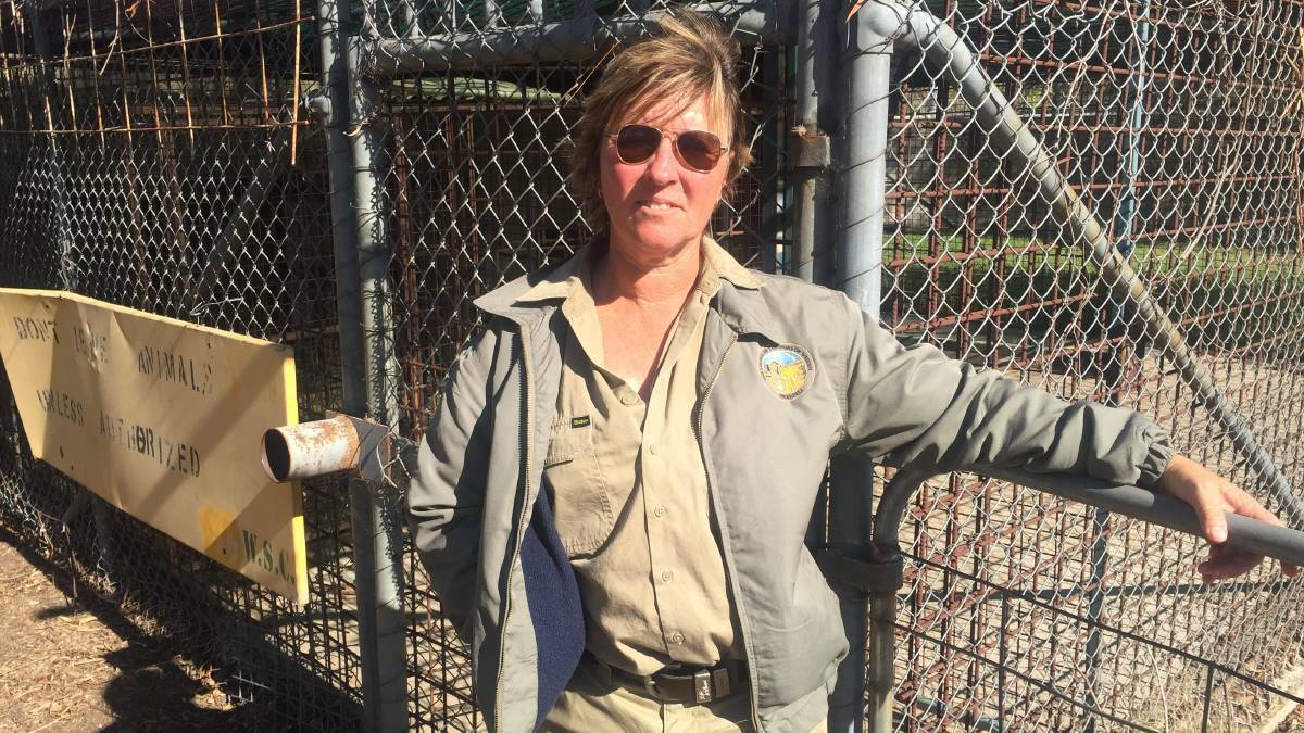 ON THE PROWL: Weddin Shire Council ranger Allison Knowles is warning dog owners about doing the wrong thing.