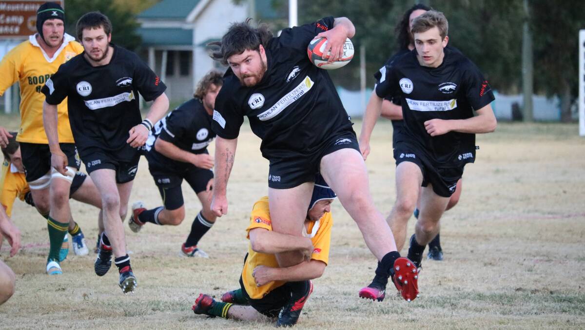 Grenfell Panthers will be travelling to Young this weekend to take on the Yabbies at Cranfield Oval.