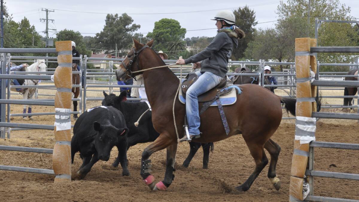 Team penning will be held in Grenfell this weekend with nearly 100 horse and riders competing. 