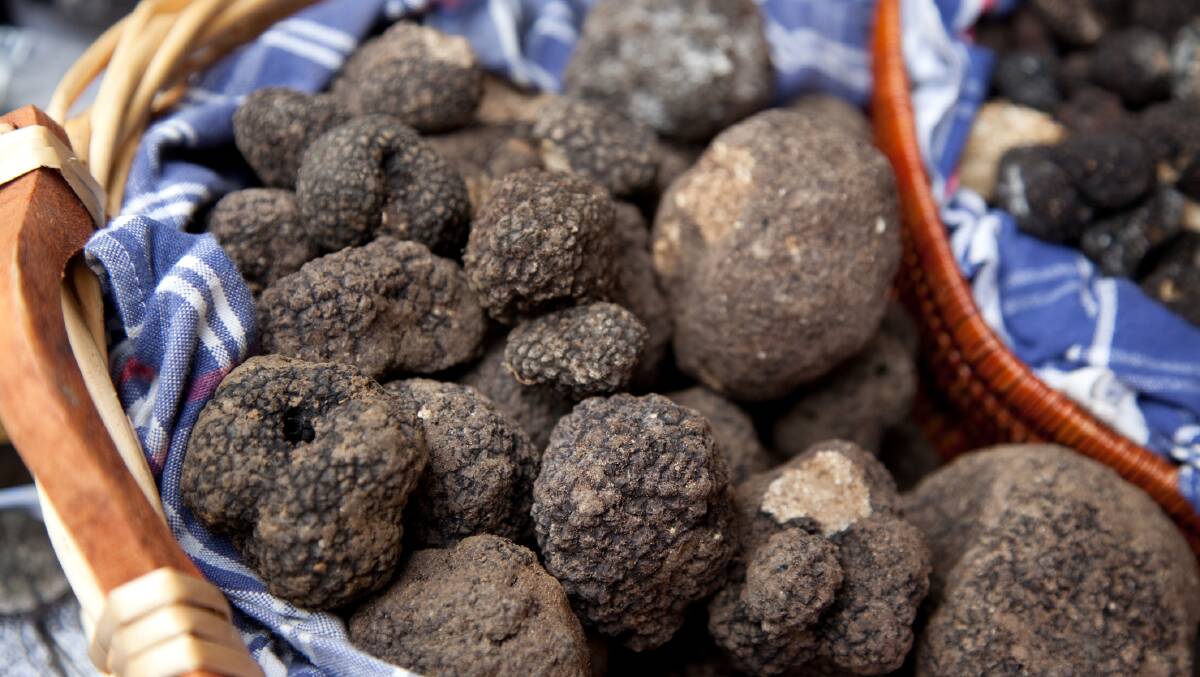 Fresh truffles offer a pungent, punchy flavour 