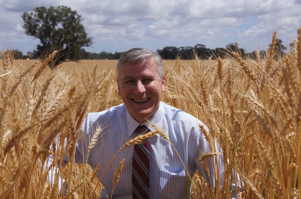 Small Business Minister and NSW Nationals Riverina MP Michael McCormack. Photo The Land.