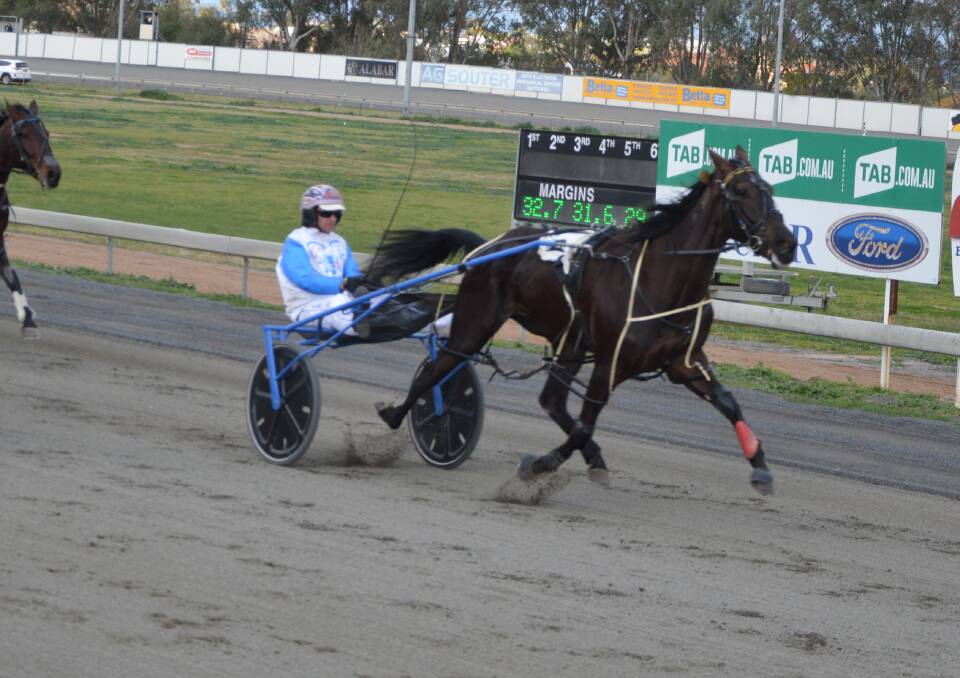 Grenfell pacer Holy Camp Paxton looks a good chance in the Club Menangle Country Series Heat at Cowra on Sunday.