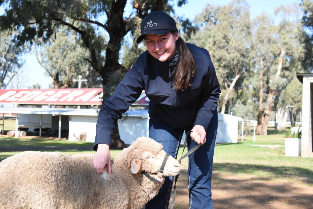 Steph Davies from Henry Lawson High School looks over this Merino at Bedgerebong.