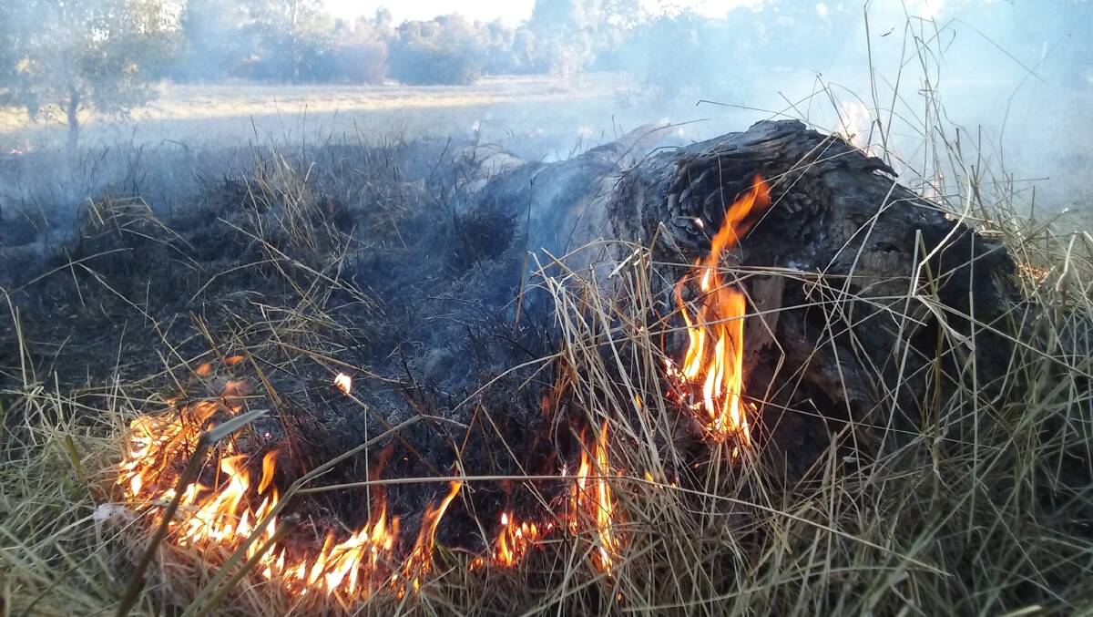 Burning for Landscape Health – a workshop on Indigenous Traditional Burning. Image supplied.