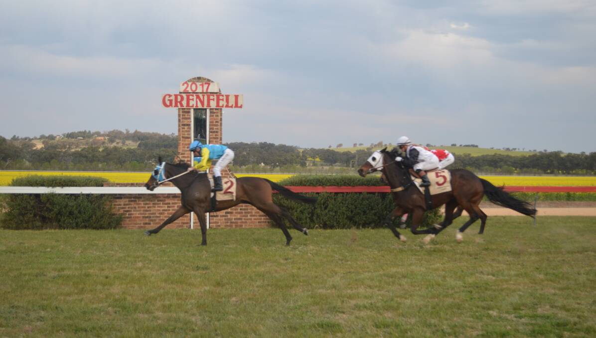 'Megawatt' crosses the finish line to win the Grenfell Cup at the 2017 sesquicentenary races.