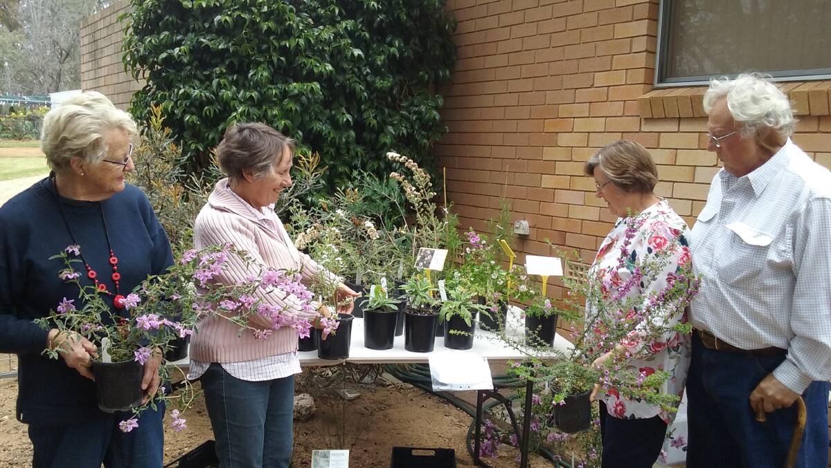 Pam Livingstone, Jan Diprose and Noel & Sharon Cartwright at the Open Gardens weekend plant sale. Image supplied.