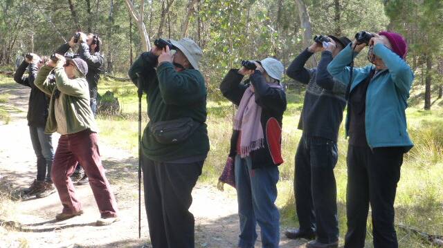 Are you a keen bird watcher? Then you're invited to come on down to company dam this Sunday morning and join in the fun.