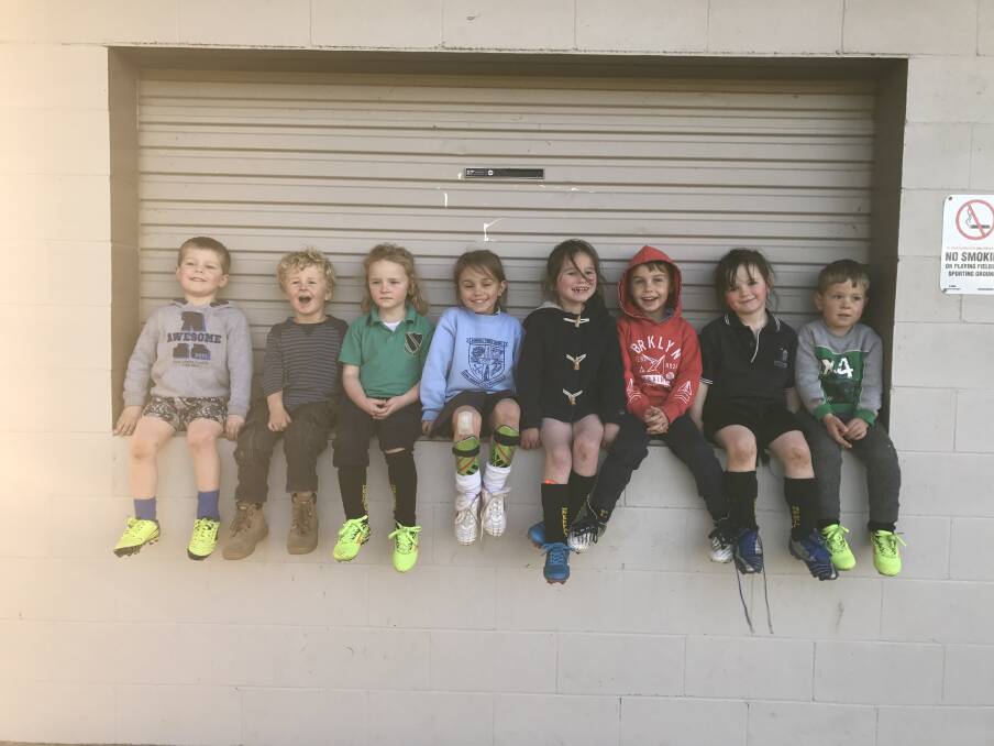 The Grenfell Junior soccer U6s at training. Photo D Forde.