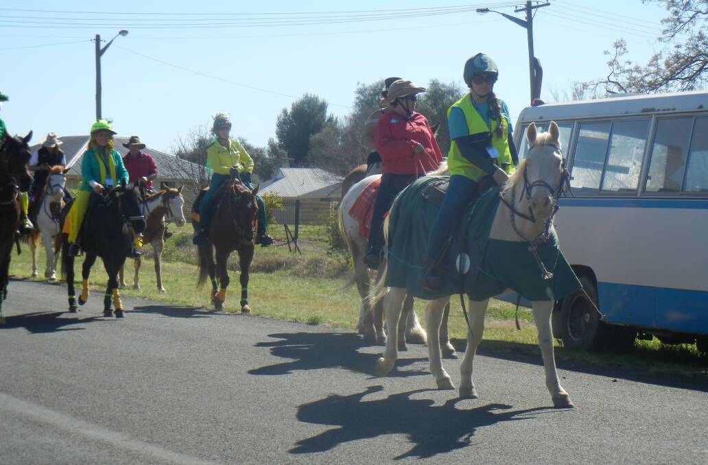 Riders in the Weddin Mountain Muster making their way to O'Briens Hill lookout.