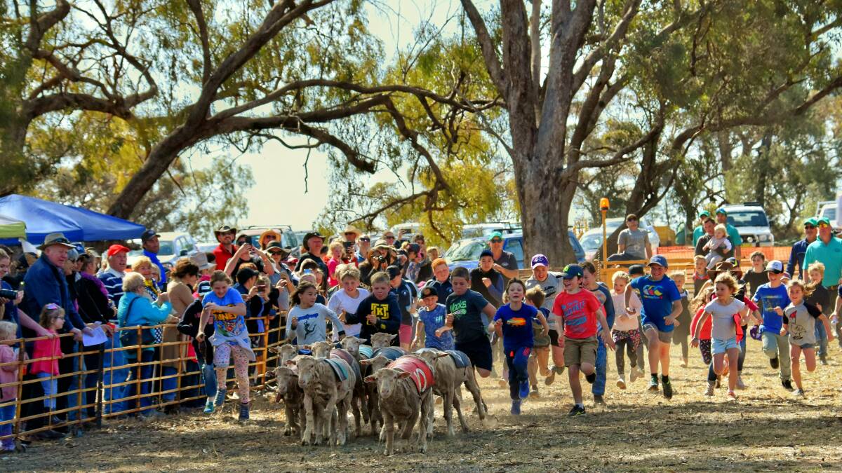 Caragabal Sheep Races, Saturday September 8, 2018