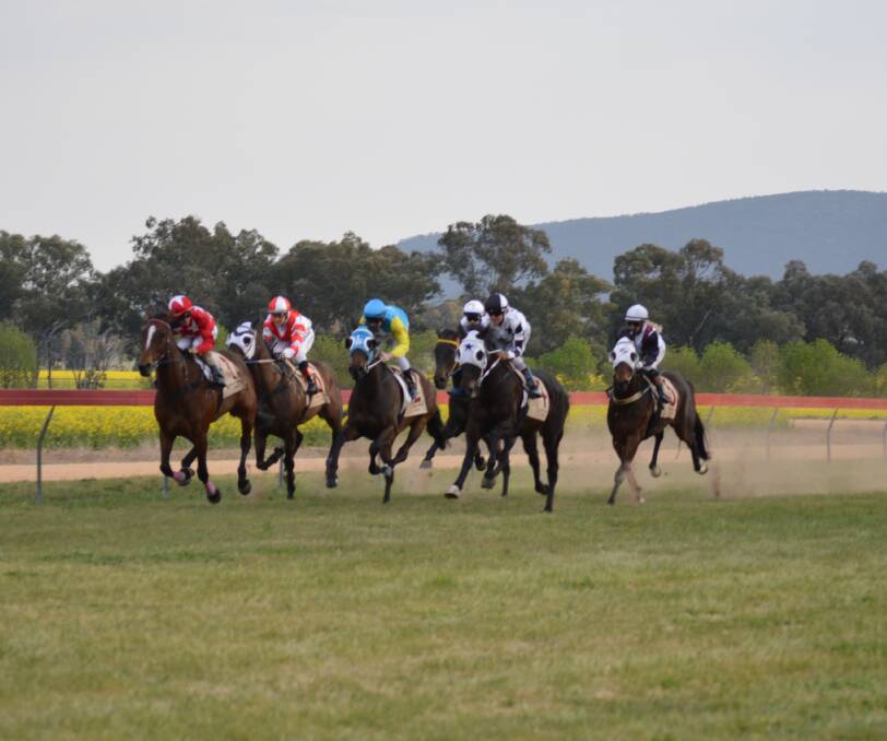 Loaded Dog and Grenfell Cup Race Meeting:  Admission is free to this year's races but dig deep as donations are being collected for drought relief.