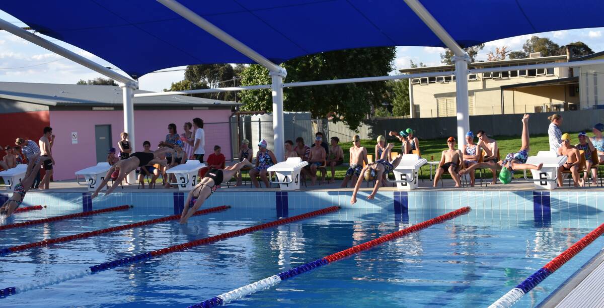 SWIMMING CLUB: And they're off and racing, swimmers compete in their feature race during a recent swimming club meet.