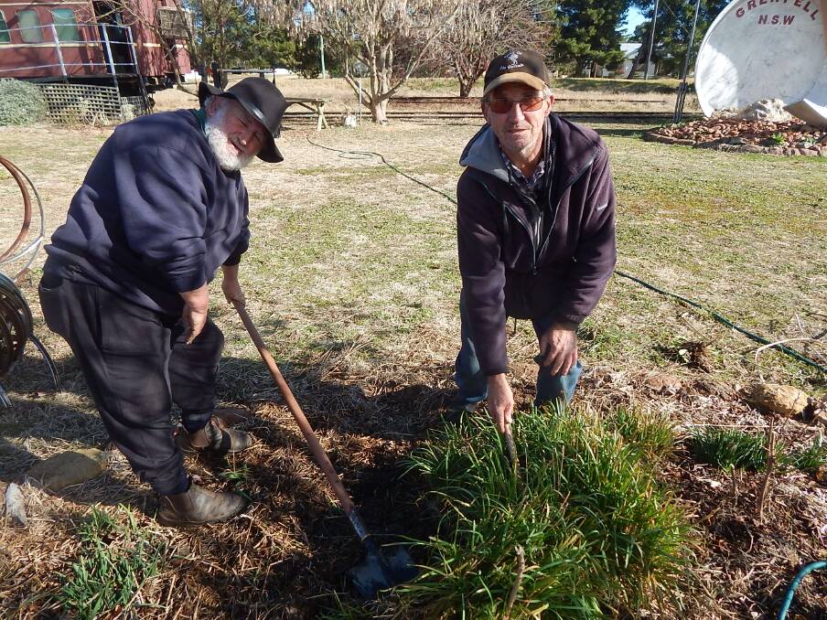 Noel McDonald (L) and Frank Bilboe seen here getting the shed gardens into good shape for the coming spring. 