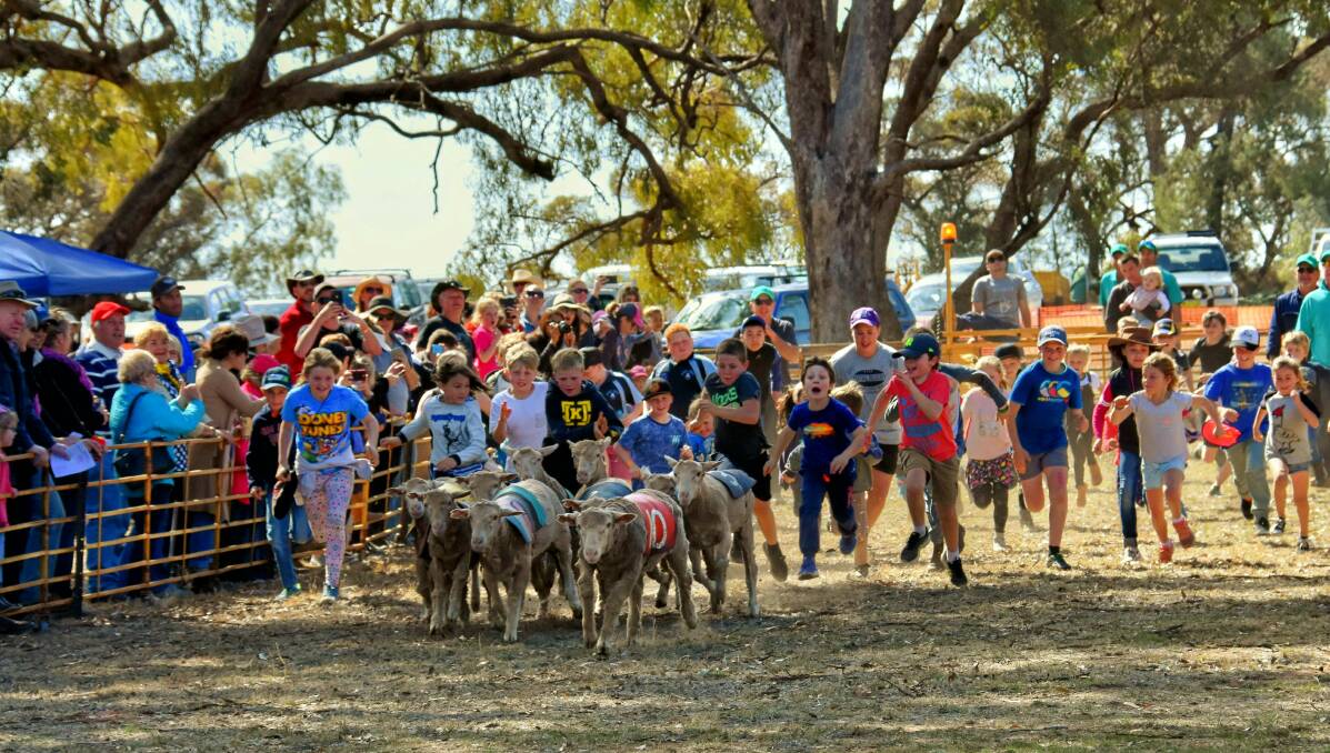 Children having a ball chasing the sheep to the finish line.