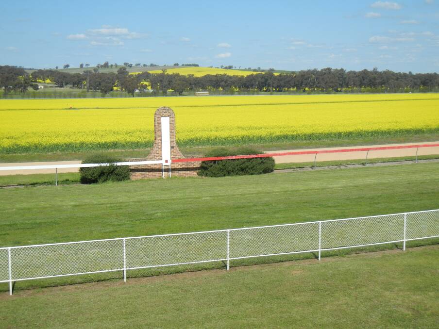 The Grenfell Racecourse will look a picture for their sesquicentenary race meeting Septmber 23. 