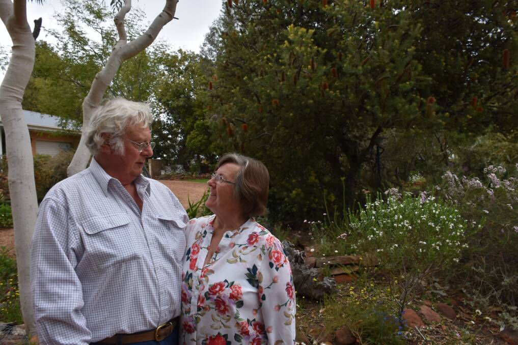 Noel and Sharon Cartwright's "Well-established Native Australian Garden". 