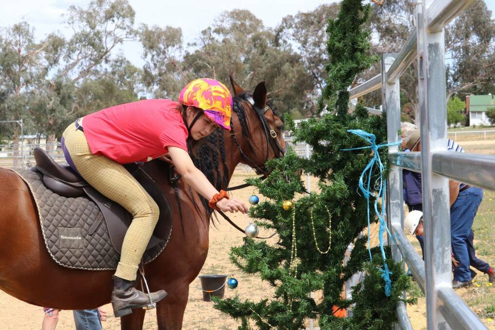 PONY CLUB: The children had to decorate the club Christmas tree while on their horses at the recent Grenfell Pony Club Christmas party. Image supplied