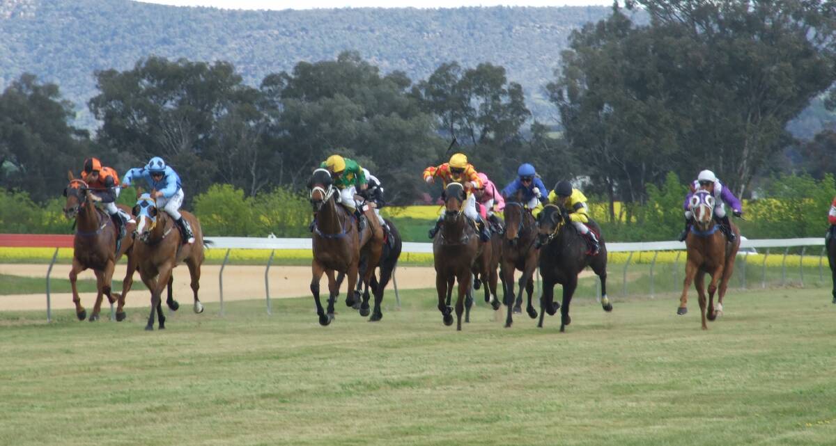 Grenfell Jockey Club race day will be held tomorrow, Saturday September 23, at the Grenfell Racecourse, gates open at 11am.