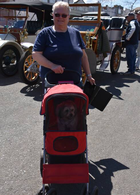 Andrea Ladlow of Grenfell with her beloved pet dog in his doggy pram. 