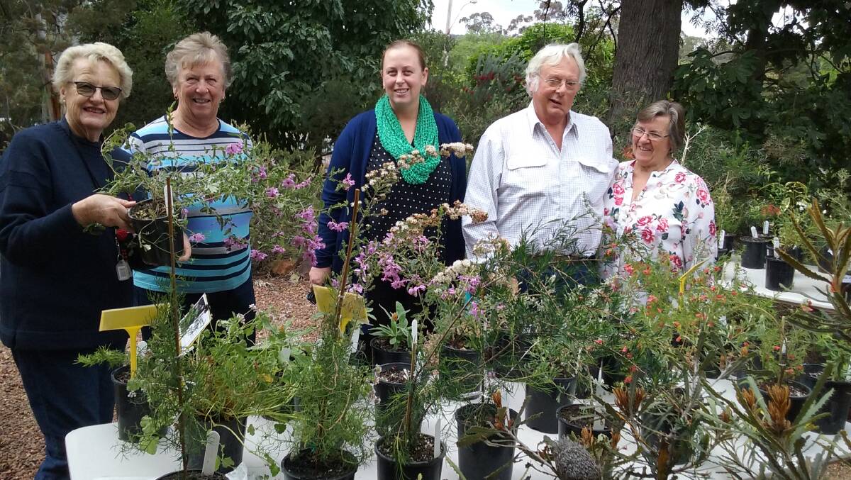 Pam Livingstone, Colleen Nealon, Tanya Biddle and Noel & Sharon Cartwright during the plant sale. Image supplied. 