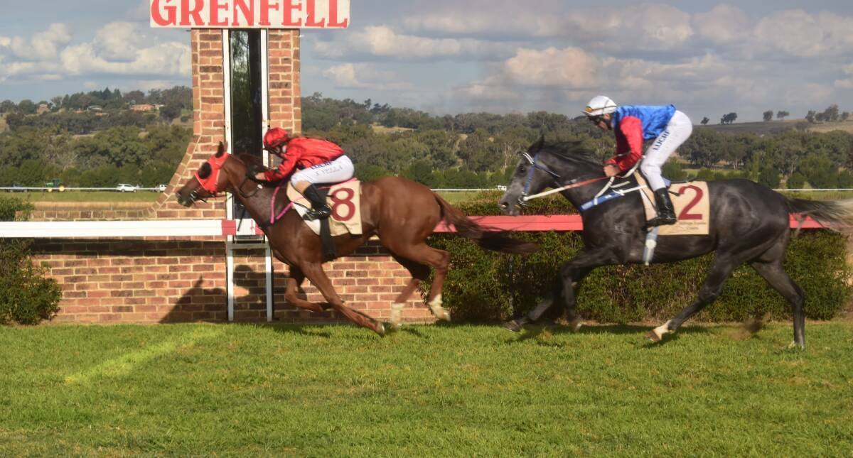 The Grenfell Picnic Race day will be held tomorrow, April 14 at the Grenfell Racecourse. 