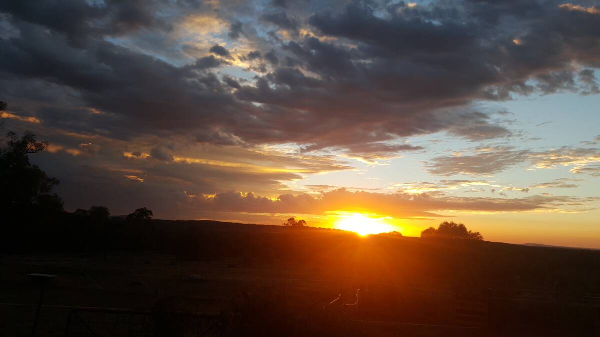 This lovely sunrise was captured by Grenfell resident Alan Langhorn last Sunday morning, February 11.